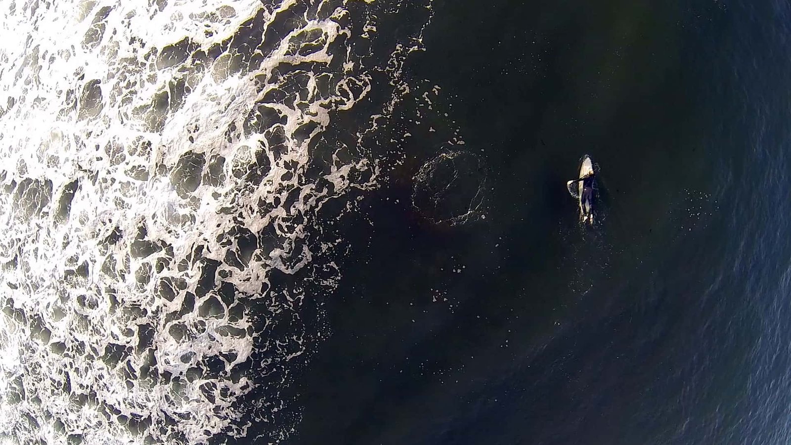 surfer at point judith rhode island