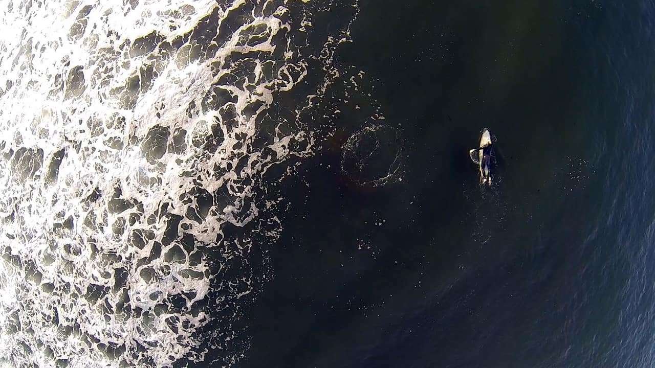 CT Drone Photography & Video Services